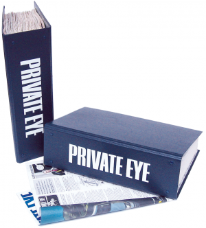 Private Eye Binder